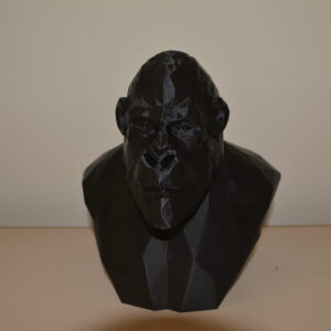 Gorilla Head