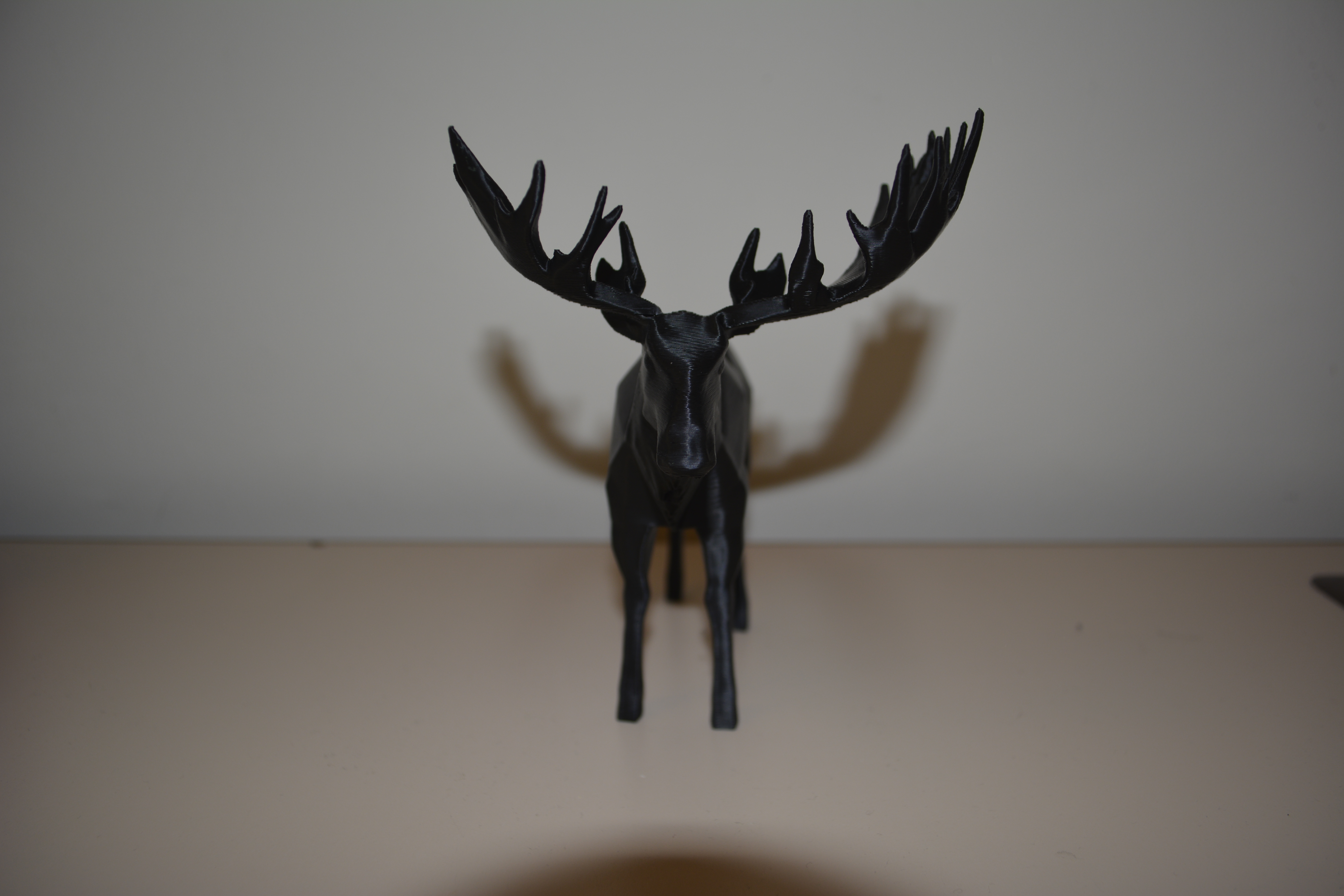 Moose